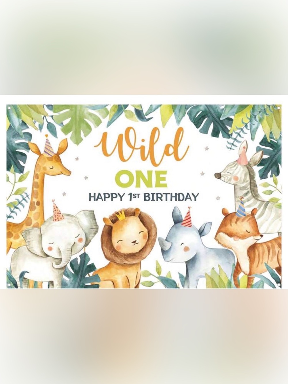 Wild One Birthday Theme Decorations and Shirts Size 18/24 Months